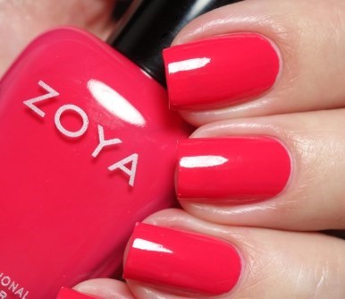 Dixie * Zoya Universalus ZOYA